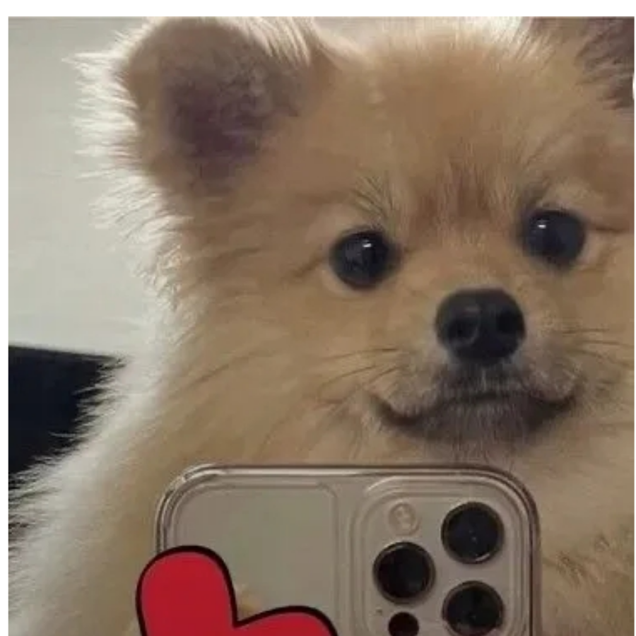 二狗啊