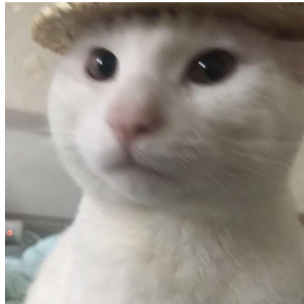 执笔梦一场