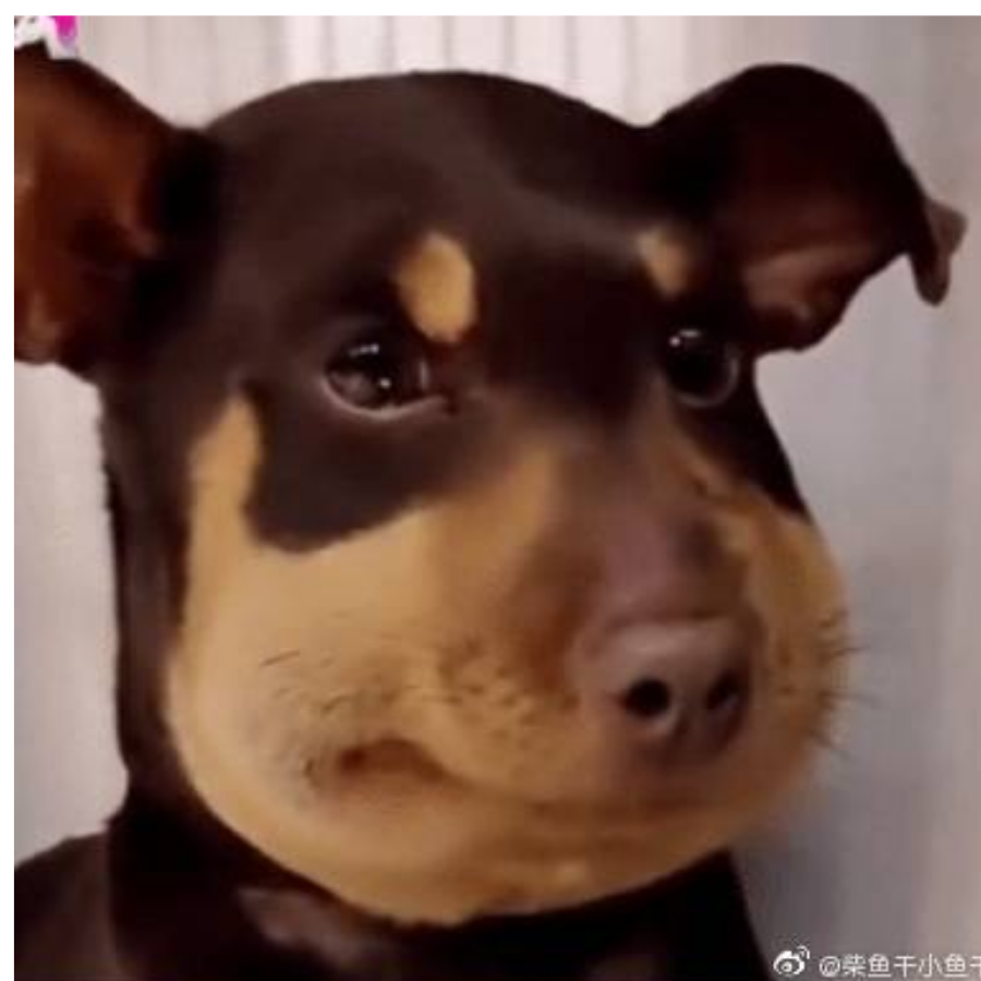 论非我还没输过