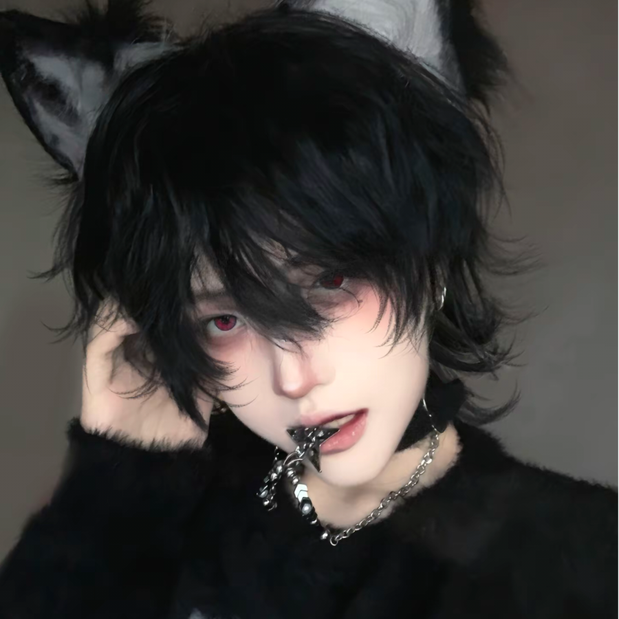 御猫