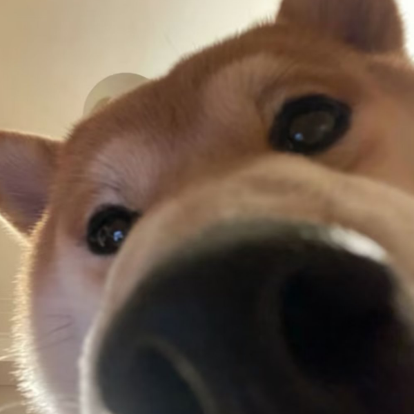 荒炎
