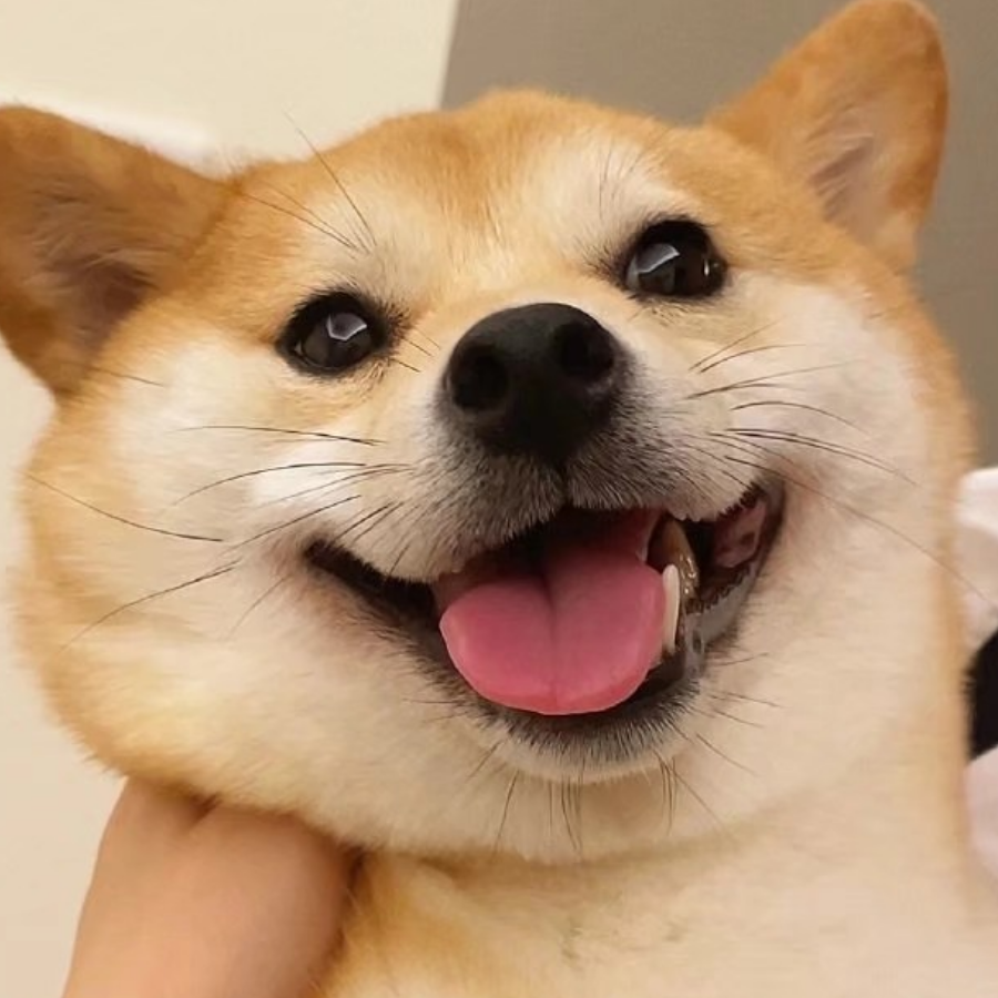 OLOg