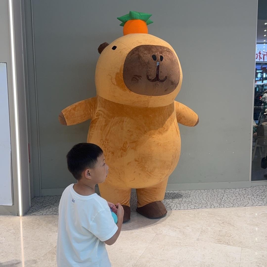 未送出的鸢尾花