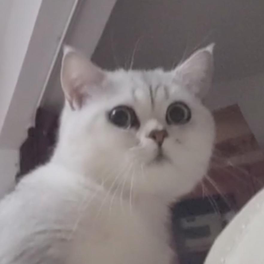 青树
