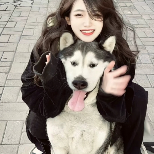 鱼