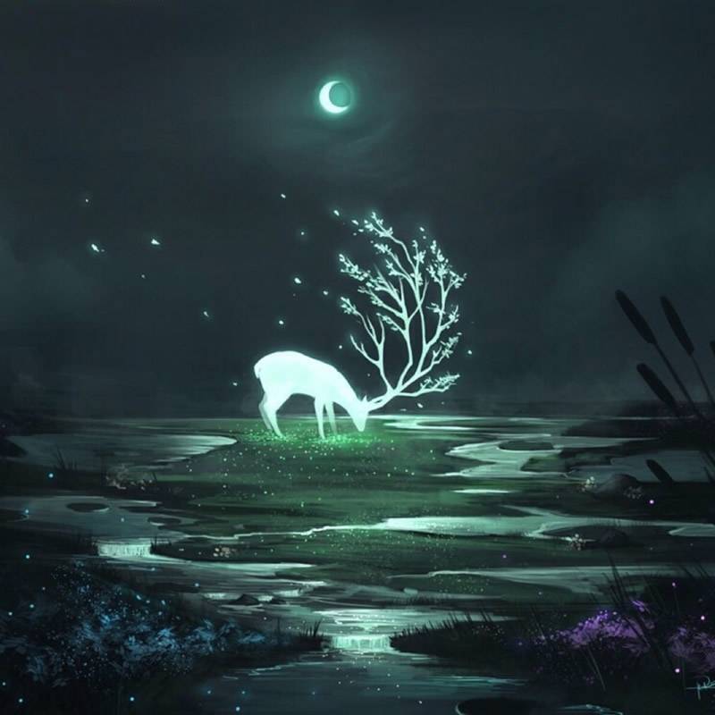 阿谷