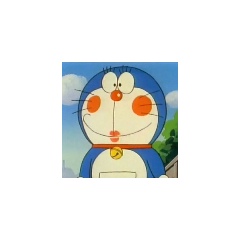 一朵玫瑰