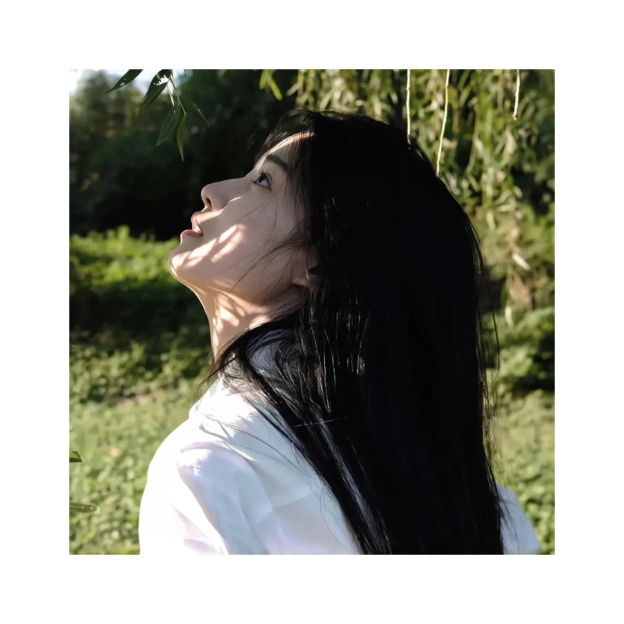 南枝