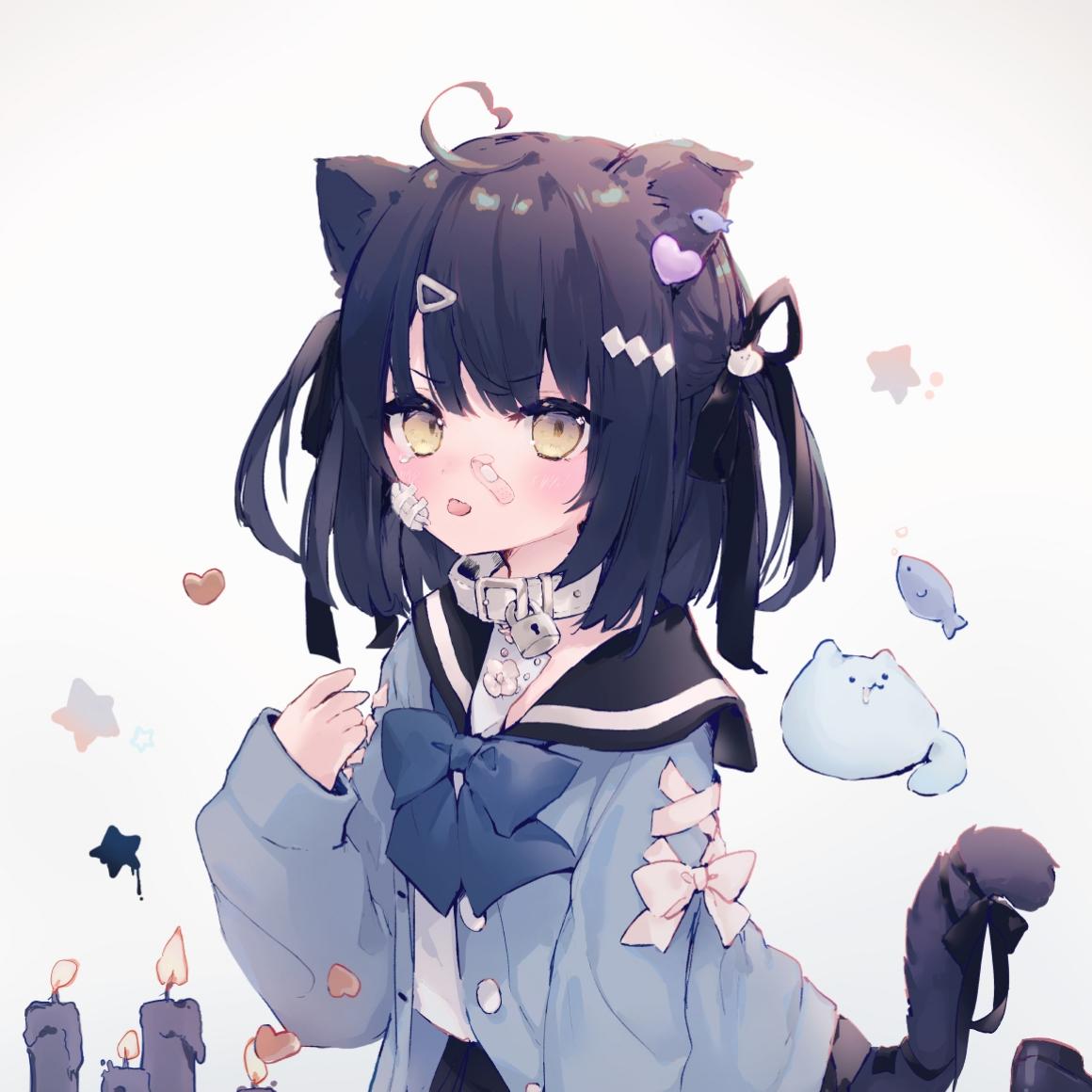 白鸟白鸟