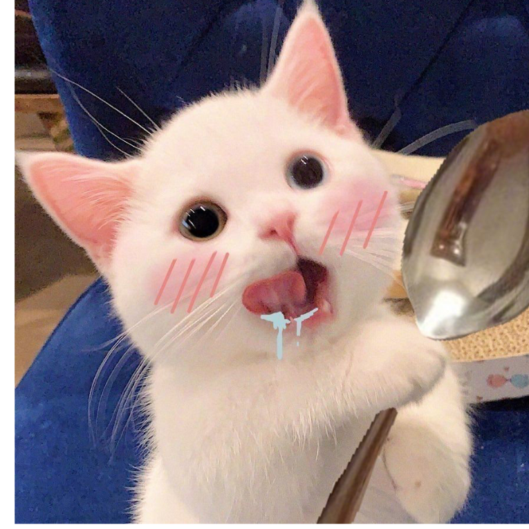 七只小猫咪.