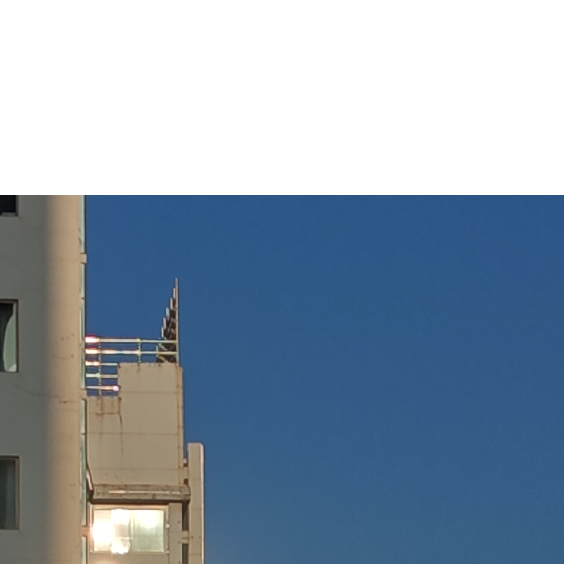 小白龙