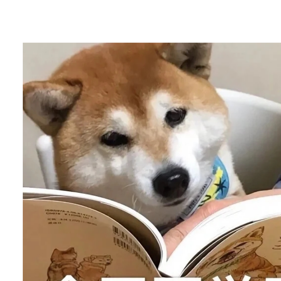 夜冷星辰