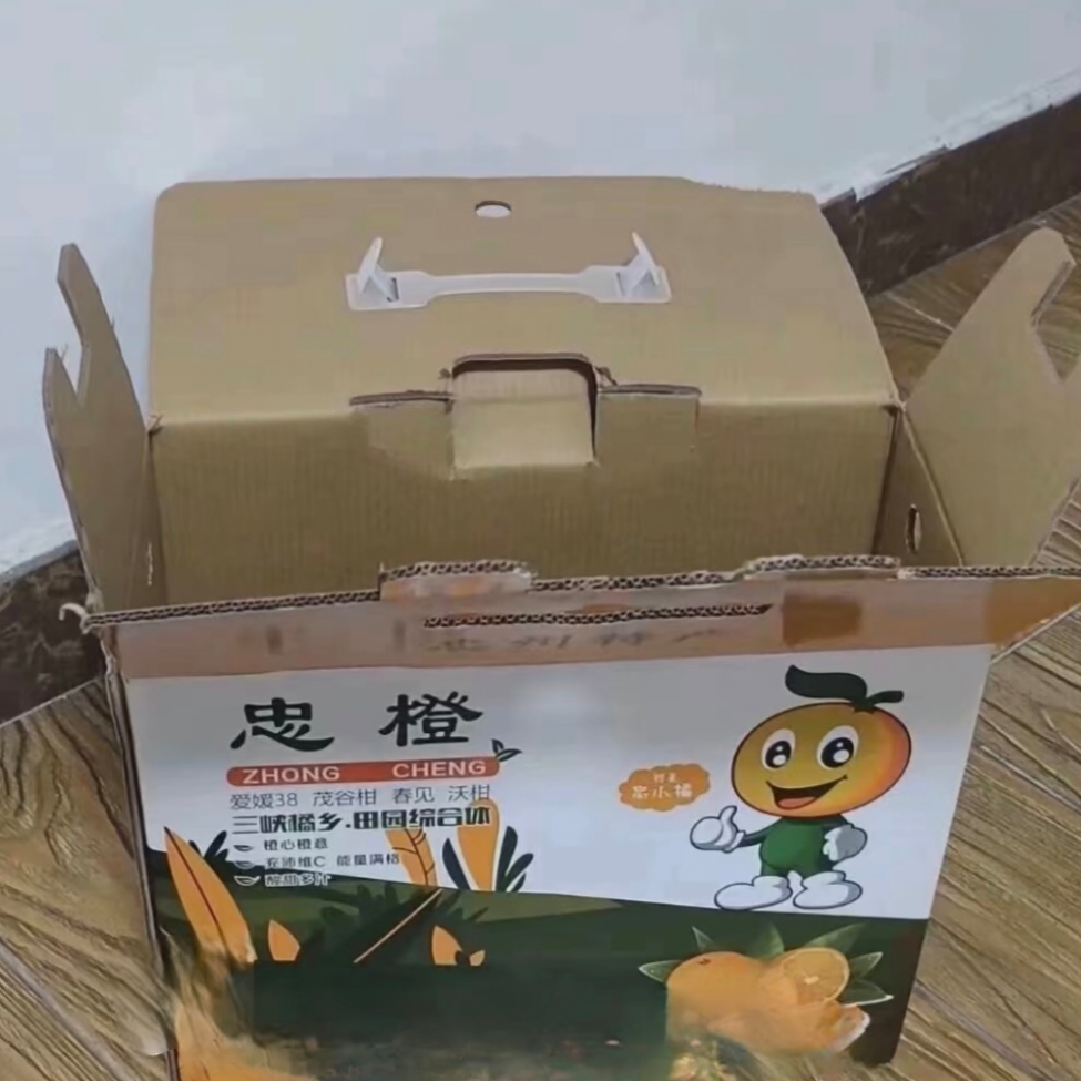 忠橙