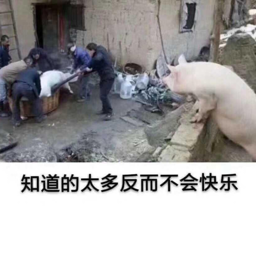 嘿猪