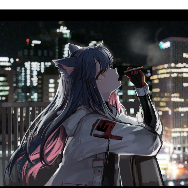 ┩琼黎之曦┢