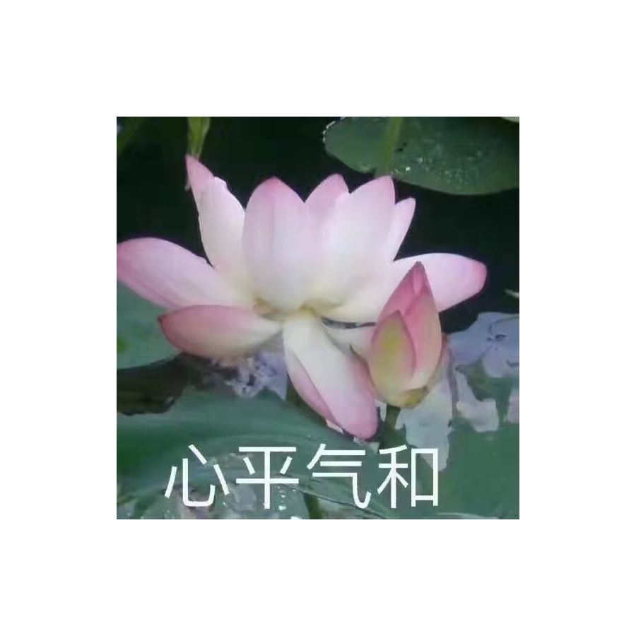七時二