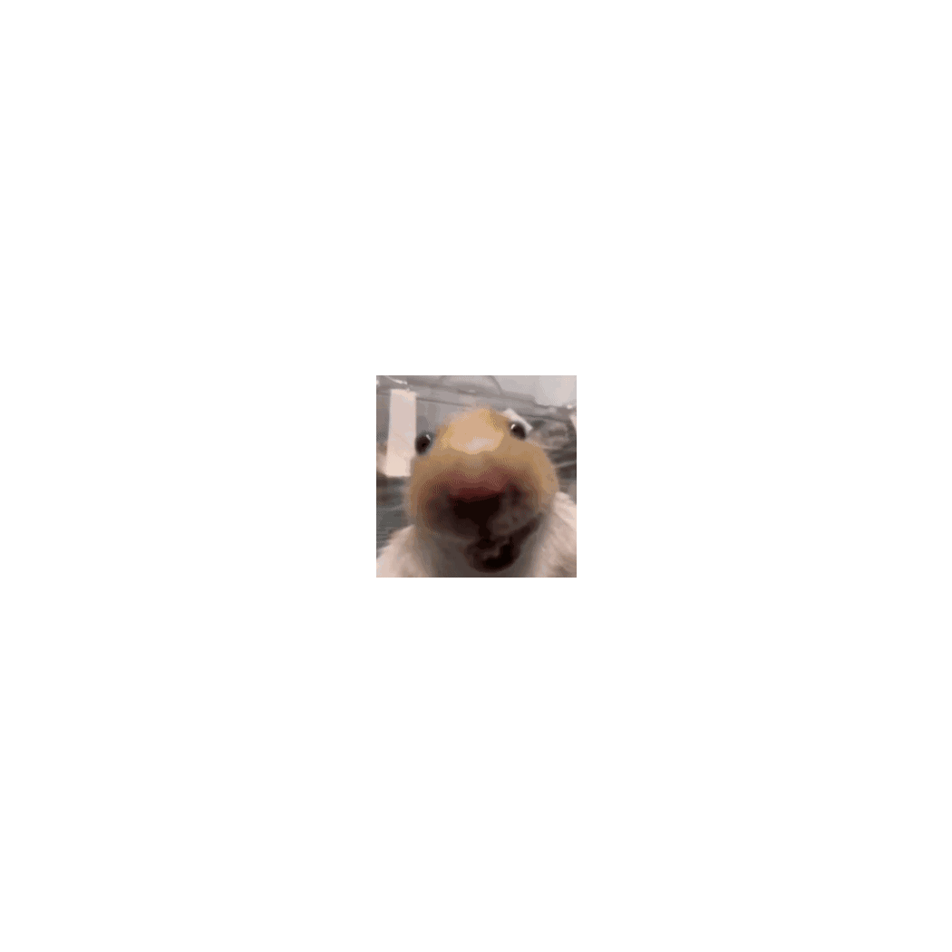 猜猜我是谁