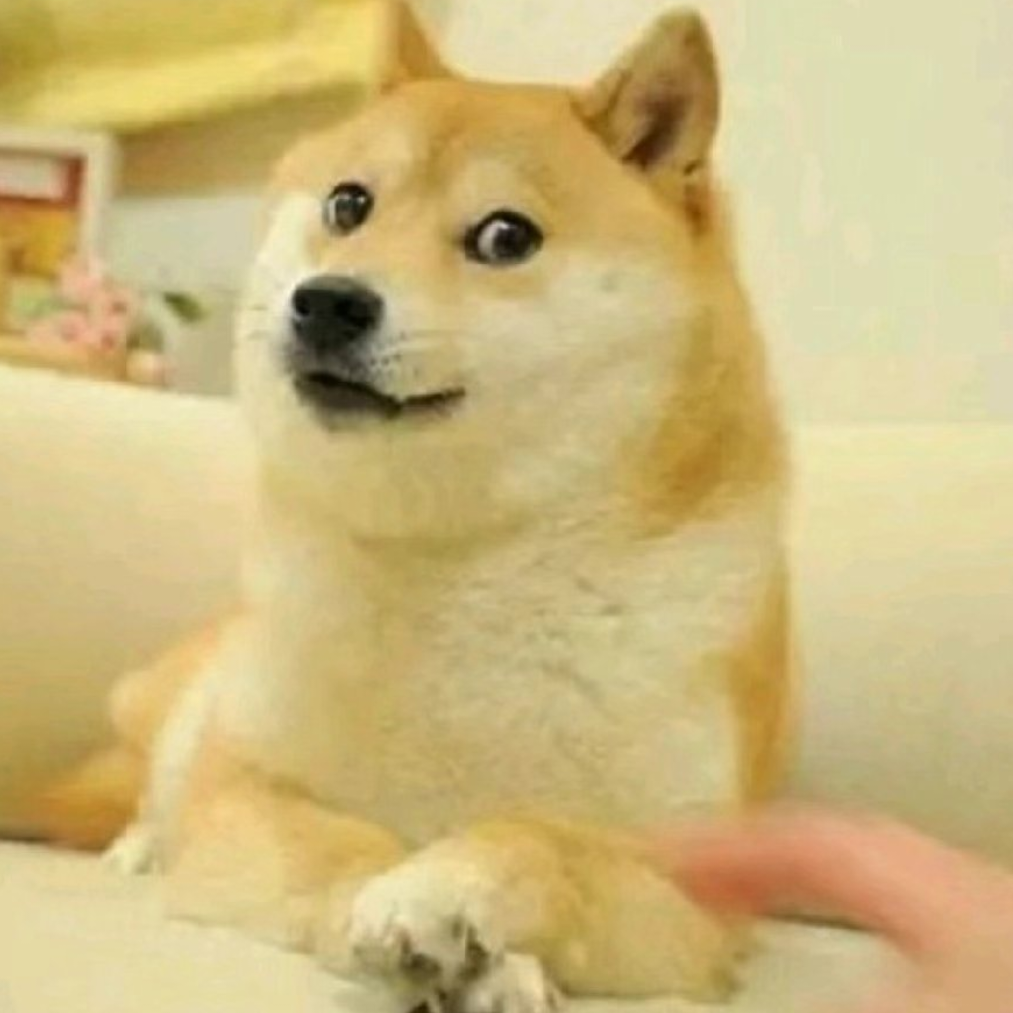 綦某人