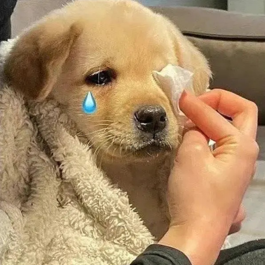 一串乱码