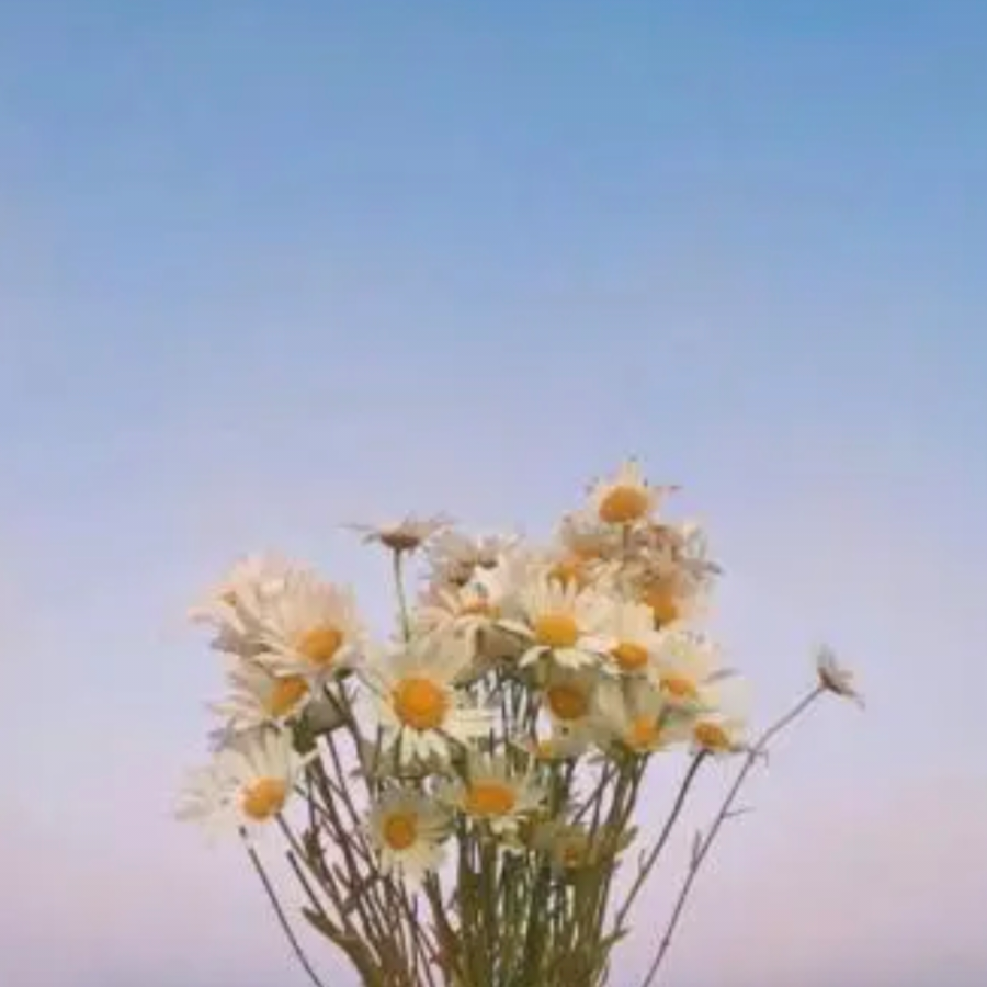 但他利安