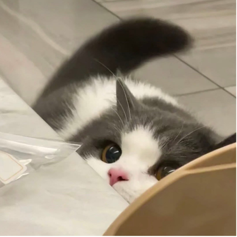 可乐鸡翅
