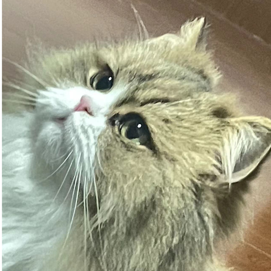 (*￣3￣)╭♡