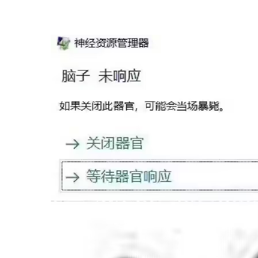 迷路的九尾狐小队成员