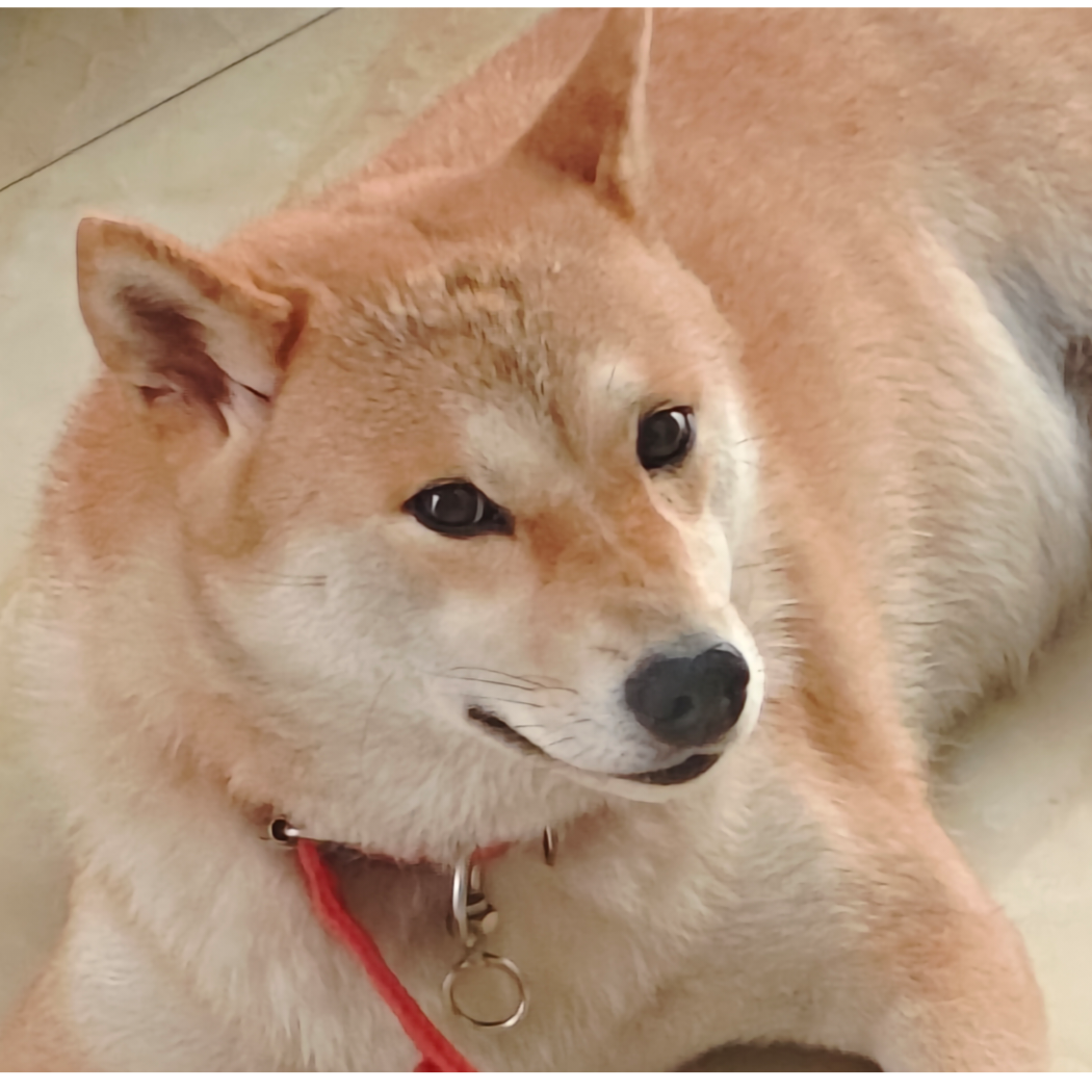 一阁那阿米