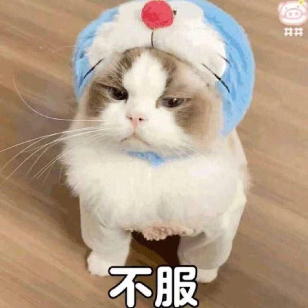 杨立
