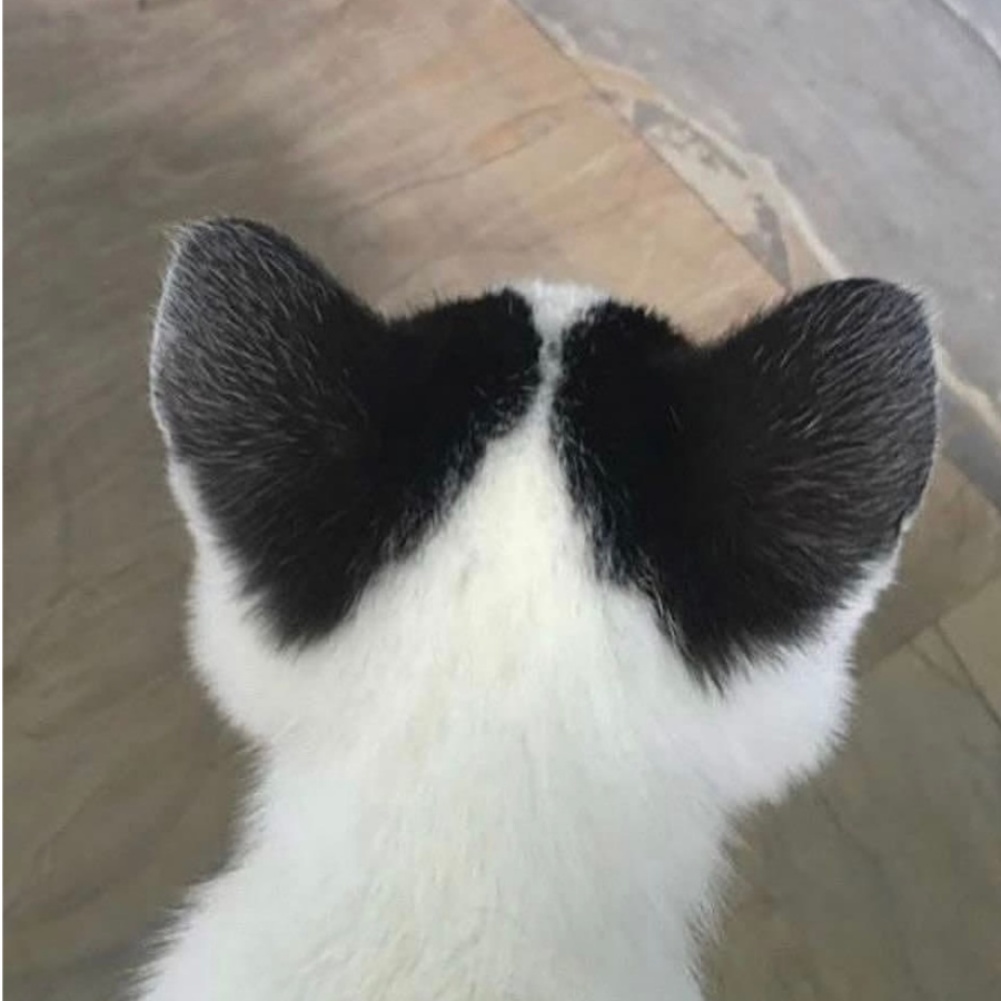 .