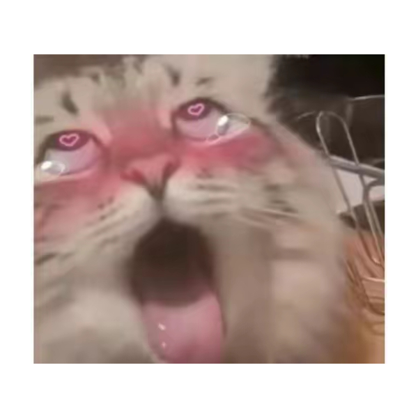 幻想与现实
