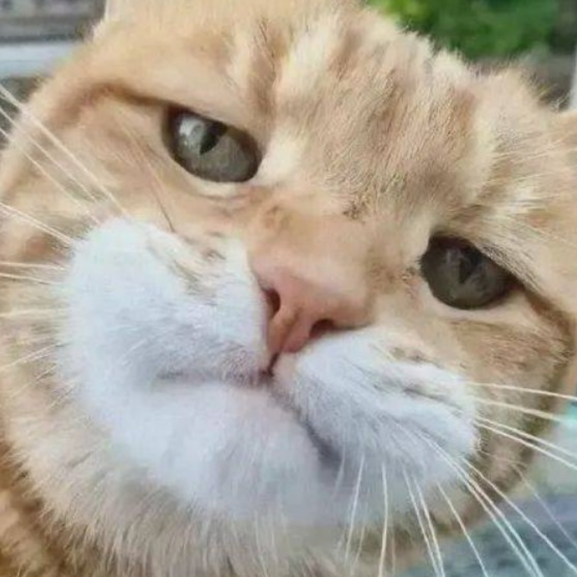 生而为人，幸也！