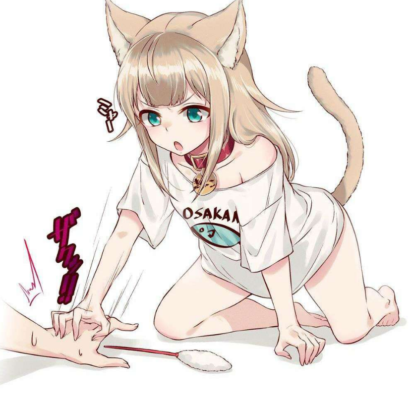 养猫者呐