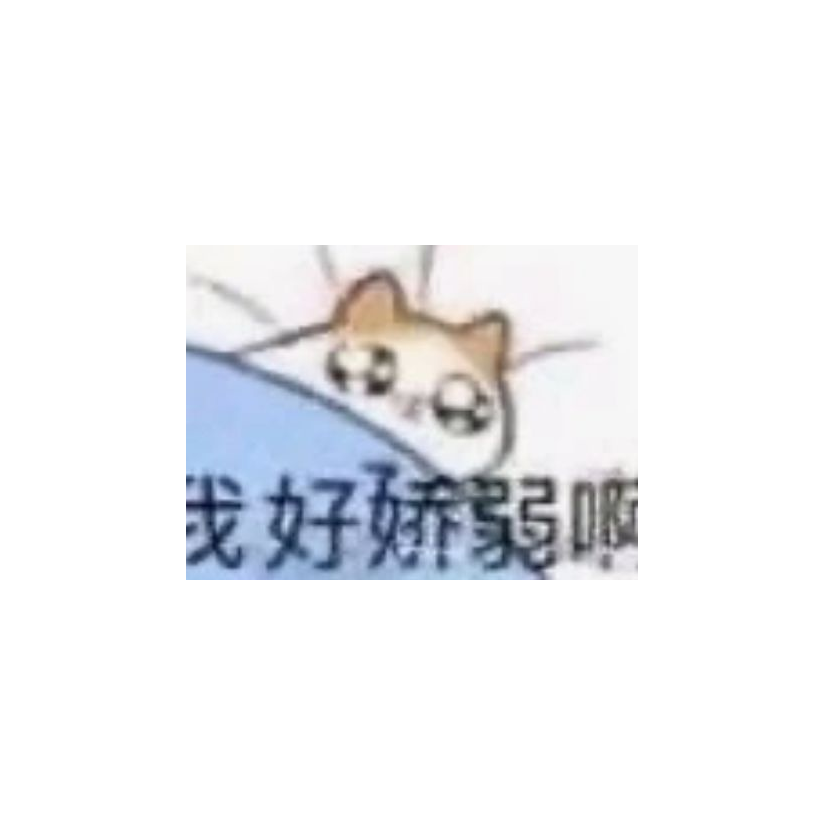 白袍爱吃花菜