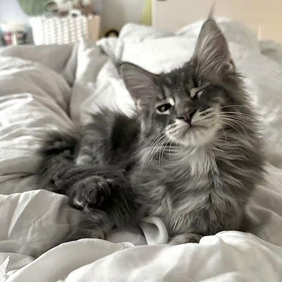 不要欺负老实人