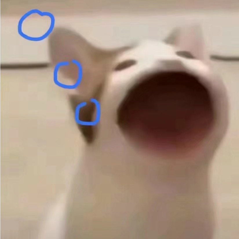 小念今天吹牛了吗