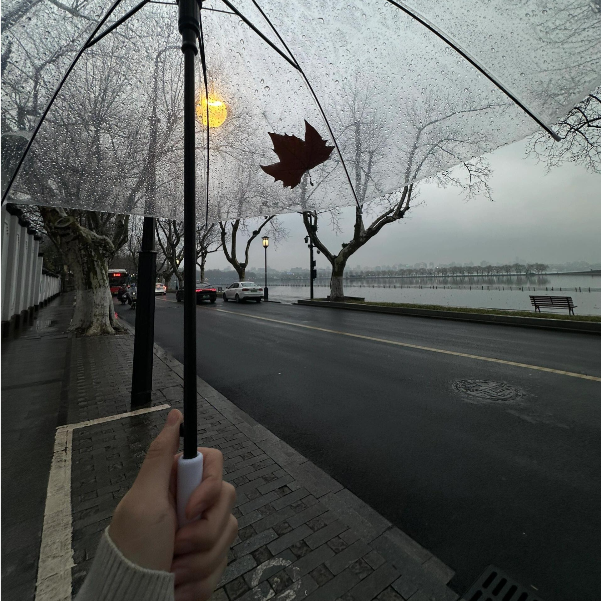 雨落念思绪