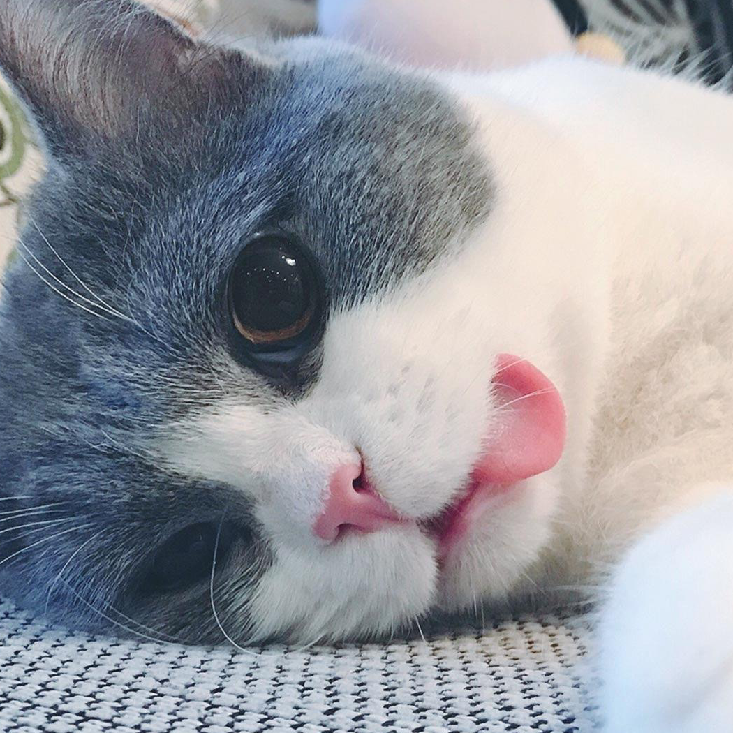 夏夏夏勋