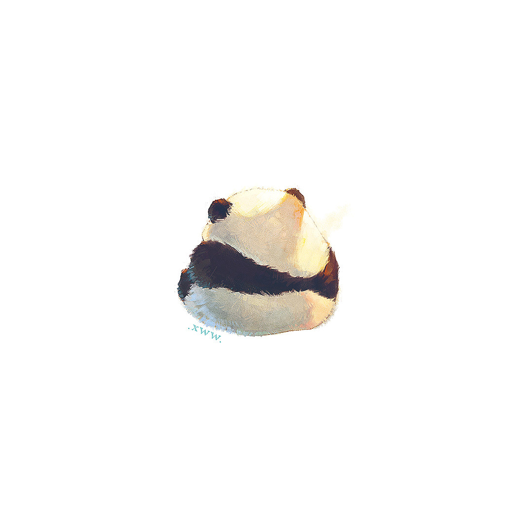 乖猫