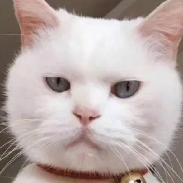 讲话理太偏的刘大哥