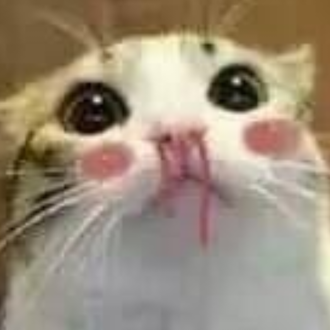 骑猪赶驴小咸鱼