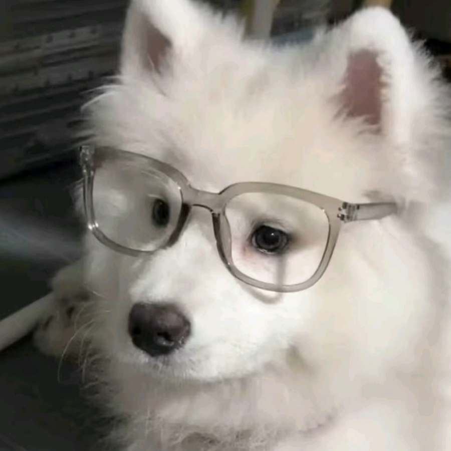 小熊爱吃软糖