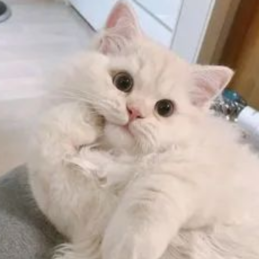 再肝一百年
