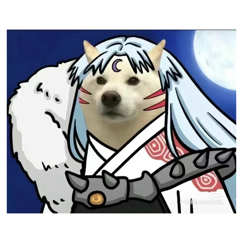 一只哈士奇
