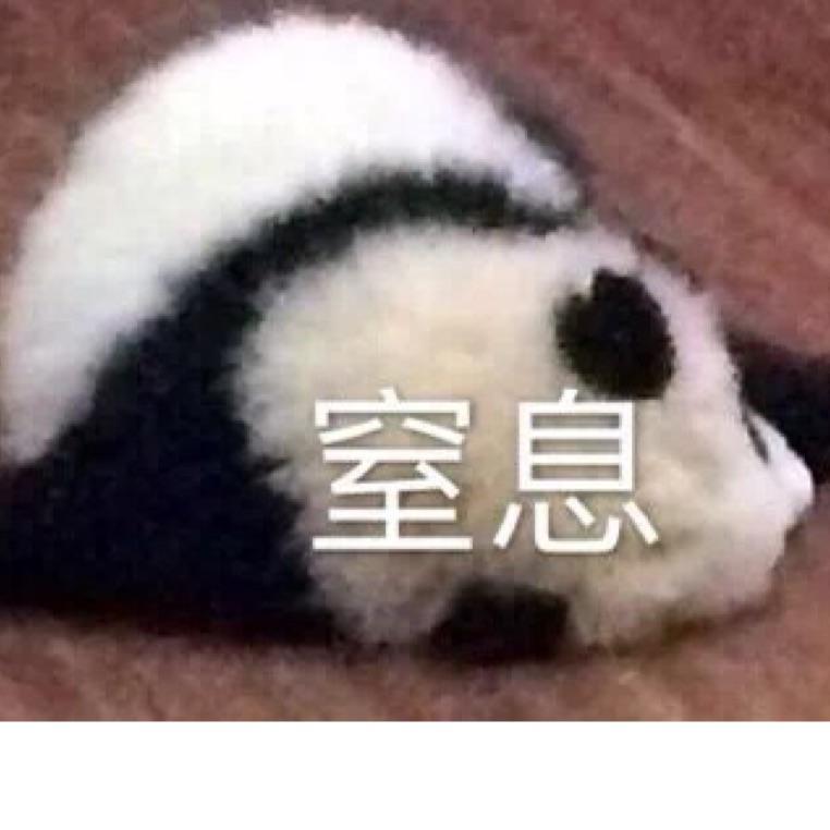 影流之主