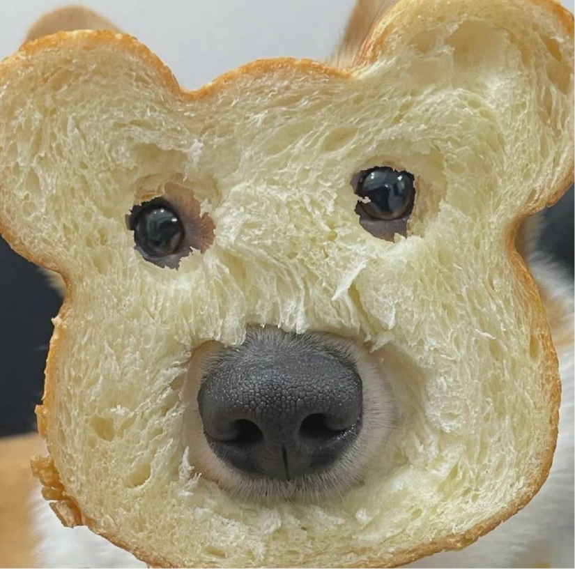 牧牧羡仙