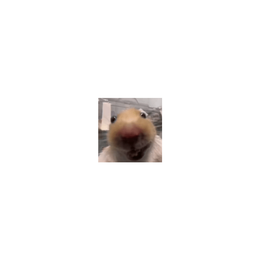 ？？？？