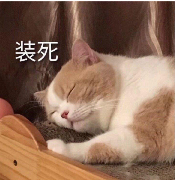 今天星期四