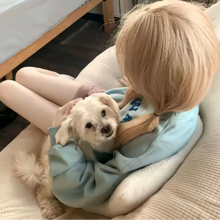 傻傻、