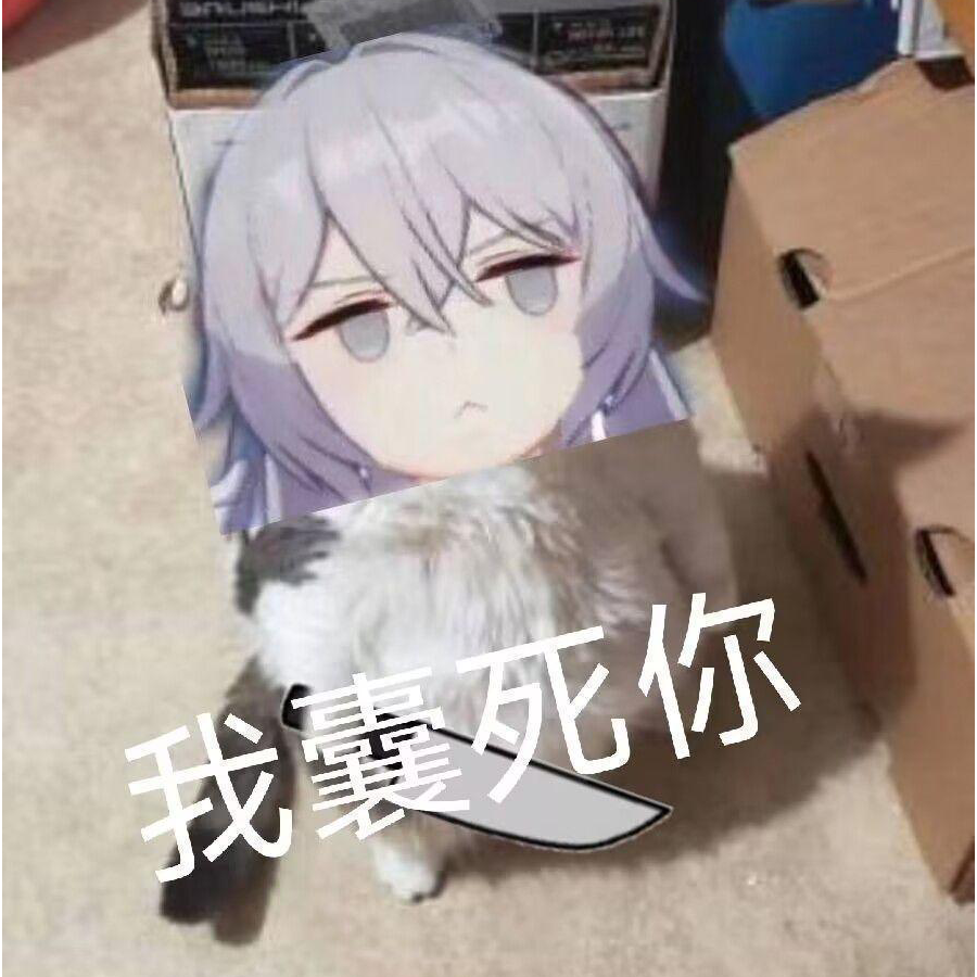 雷电芽衣大王